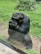A chimpanzee is sitting next to a glass partition, appearing thoughtful with its hand resting on its chin. The background is lush with greenery, including grass and plants.