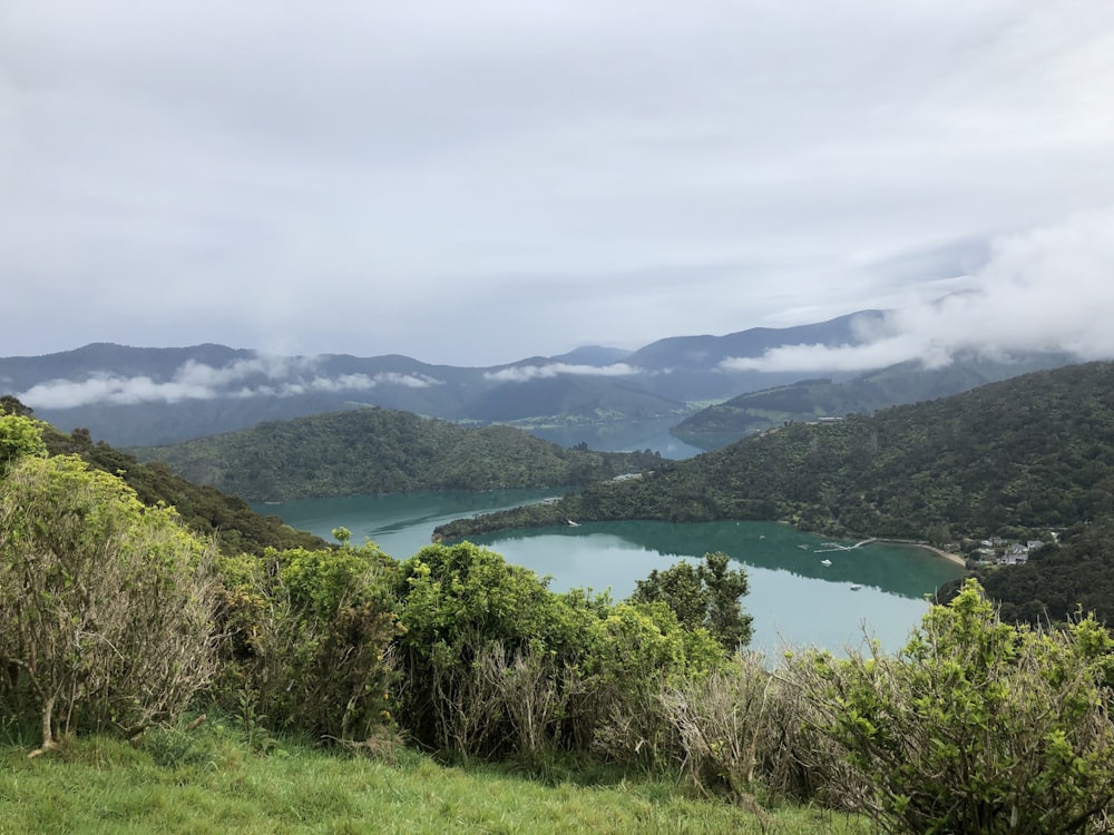 green grass field near body of water under white clouds during daytime