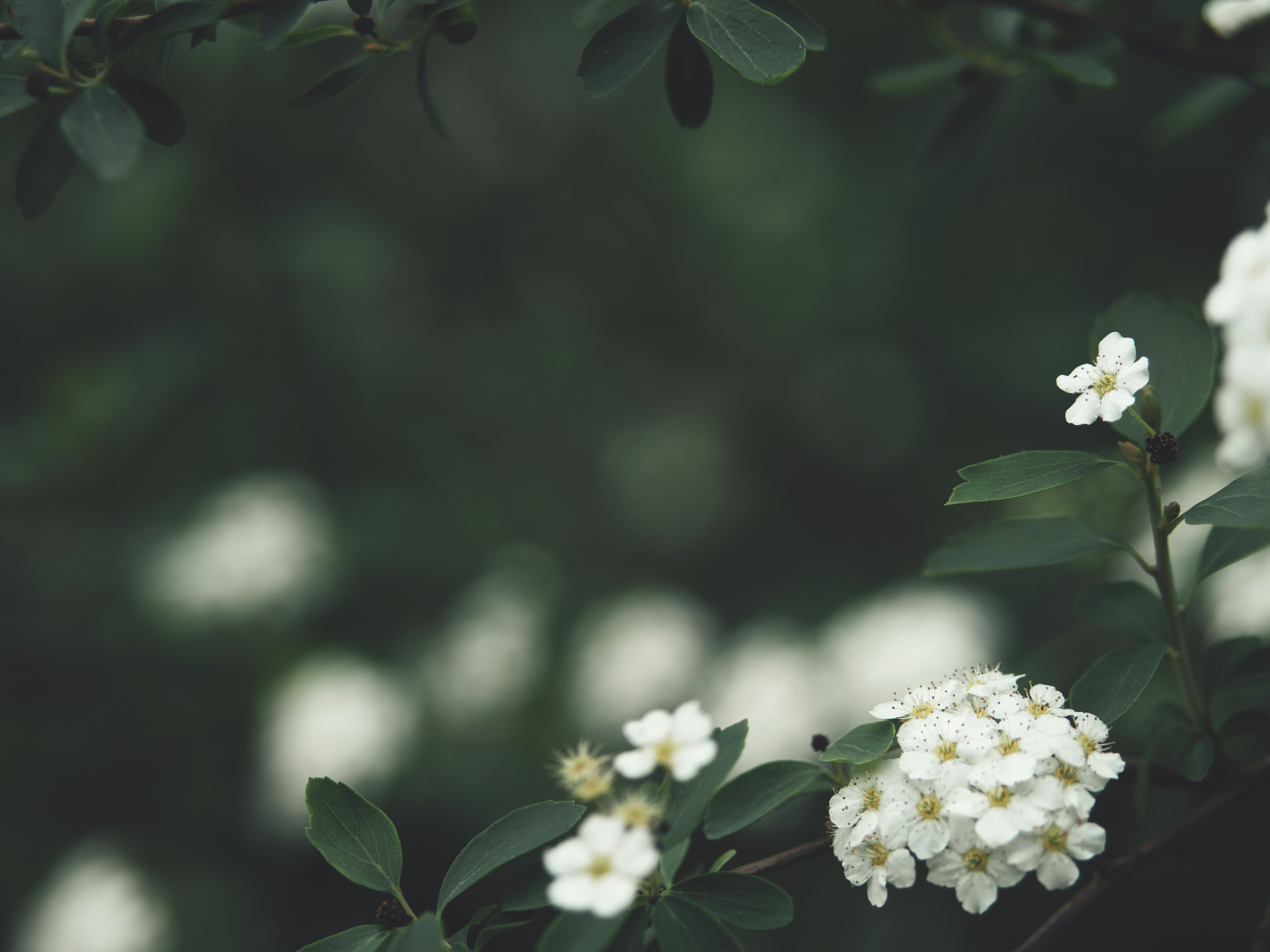 Photo by aaronburden