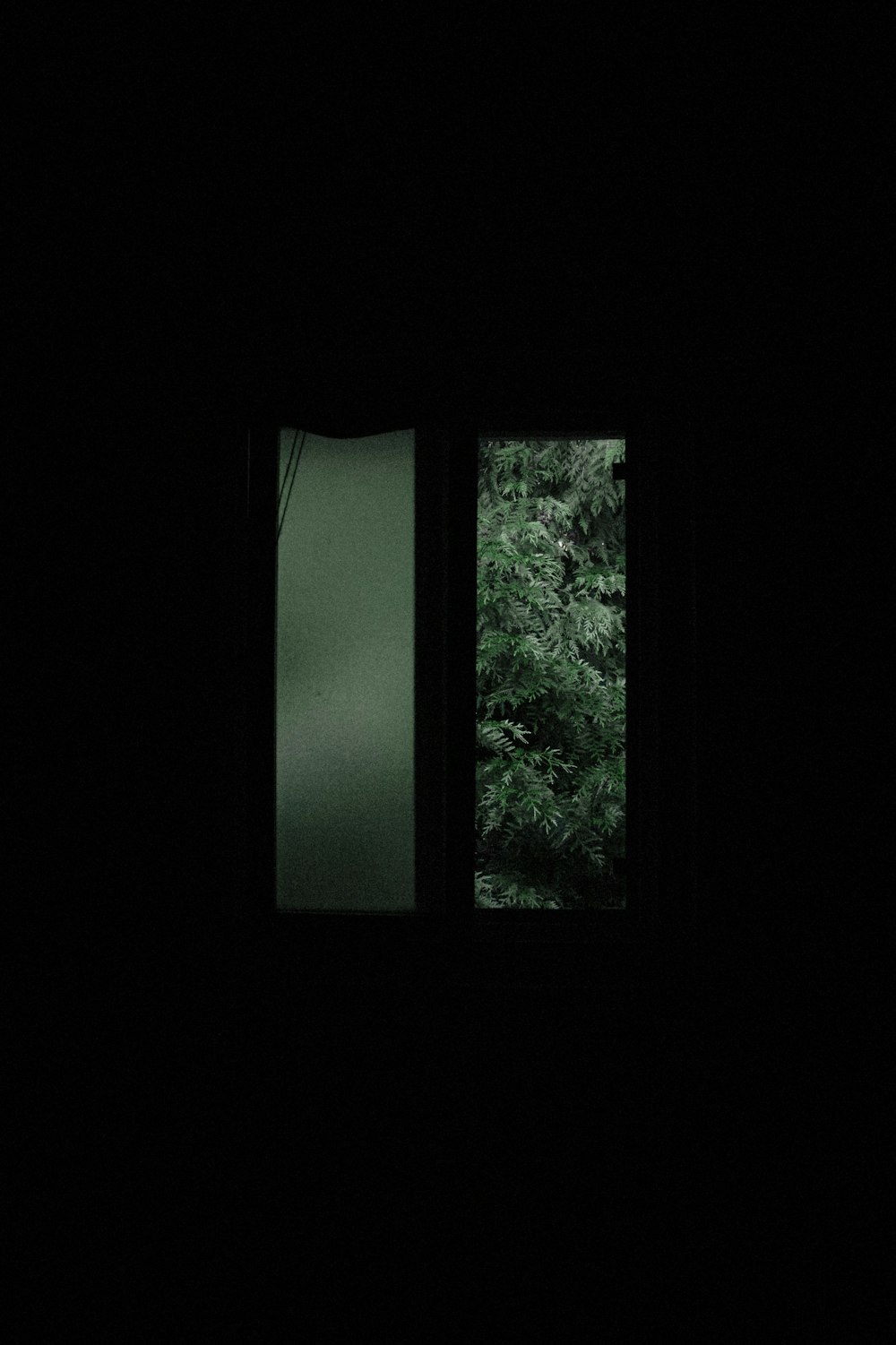 창문 앞의 푸른 나무