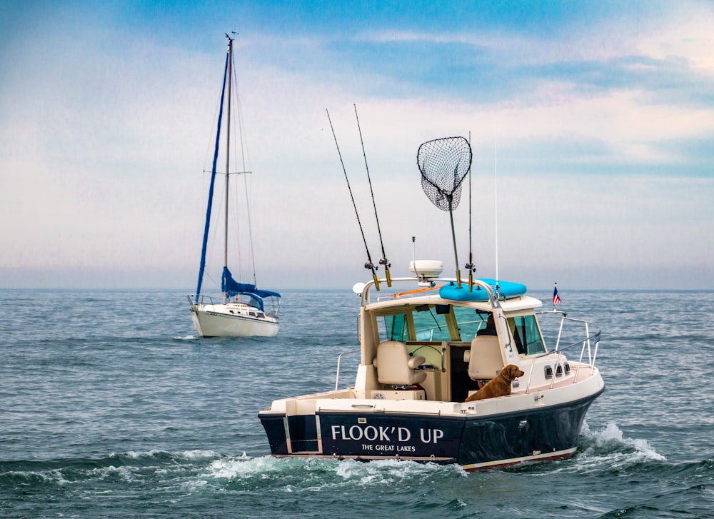 white and black boat on sea under blue sky during daytime