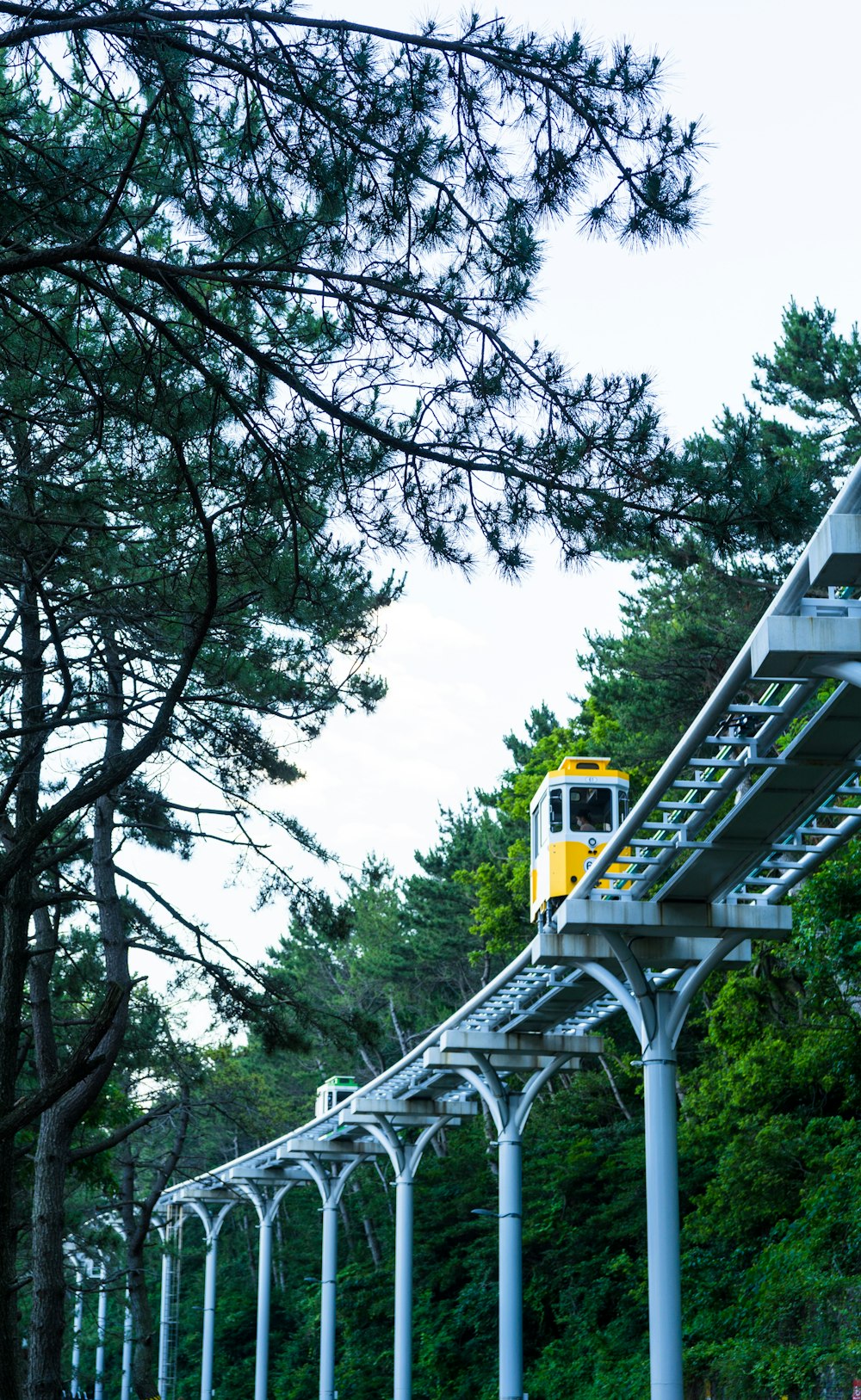 Train jaune sur rail près des arbres pendant la journée