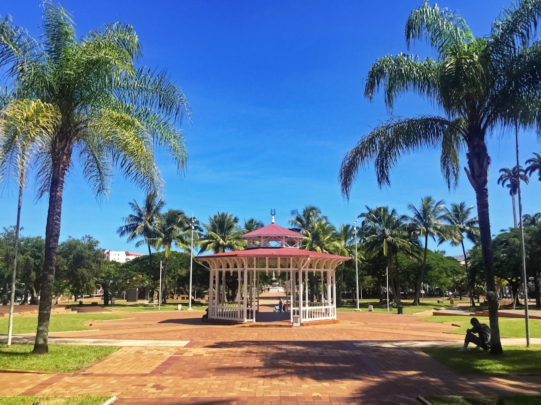green palm trees near brown wooden gazebo under blue sky during daytime