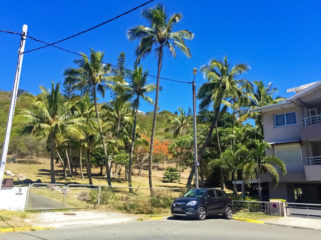 black car parked near palm trees during daytime