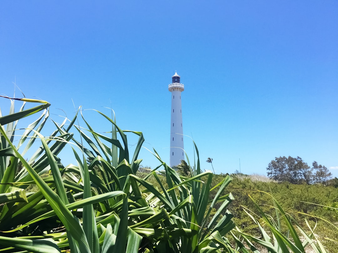 white lighthouse surrounded by green plants under blue sky during daytime