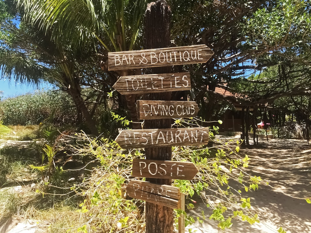 brown wooden signage near green trees during daytime