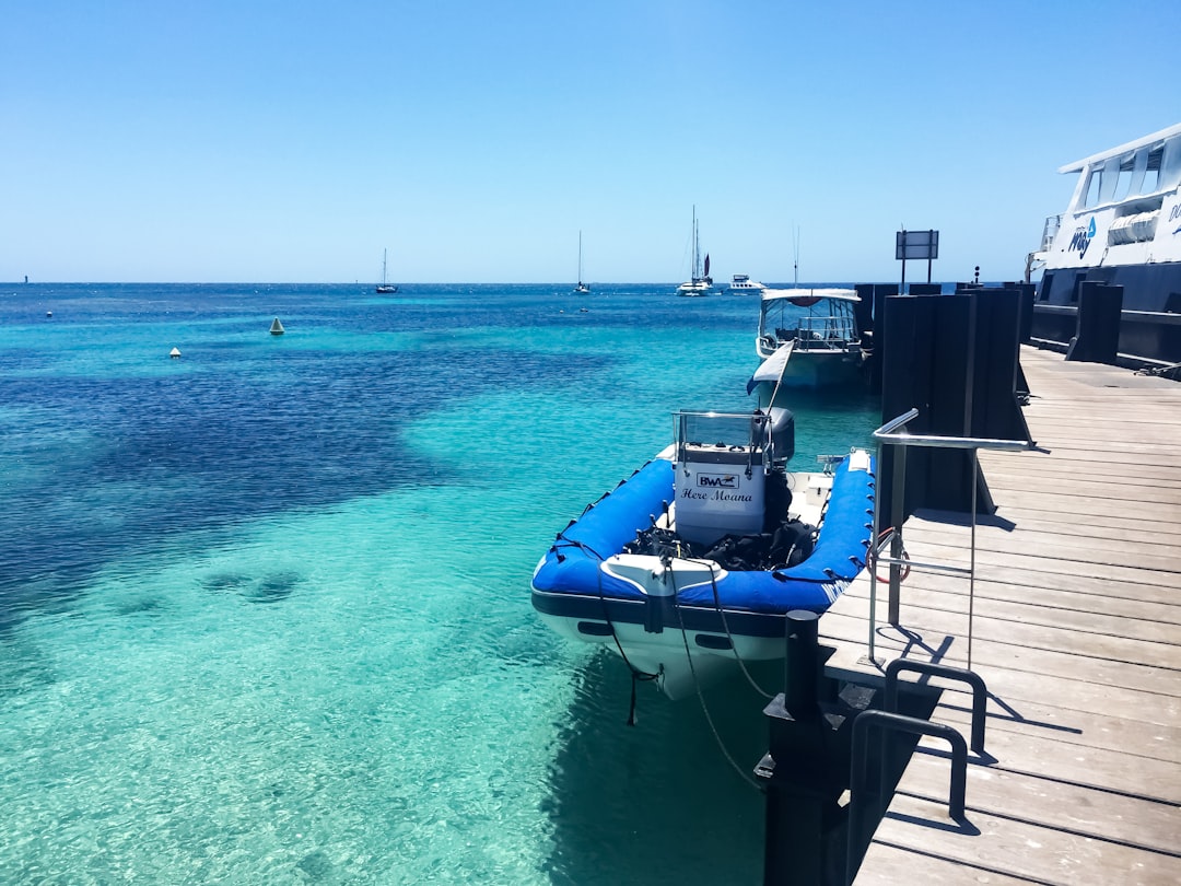 blue and white boat on sea during daytime