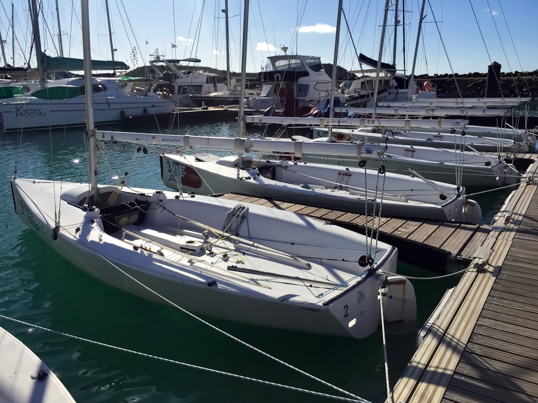 white and green boat on dock during daytime