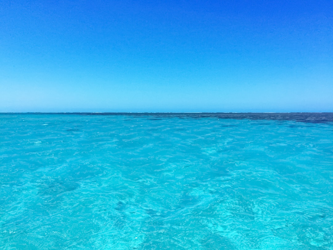 blue body of water under blue sky during daytime