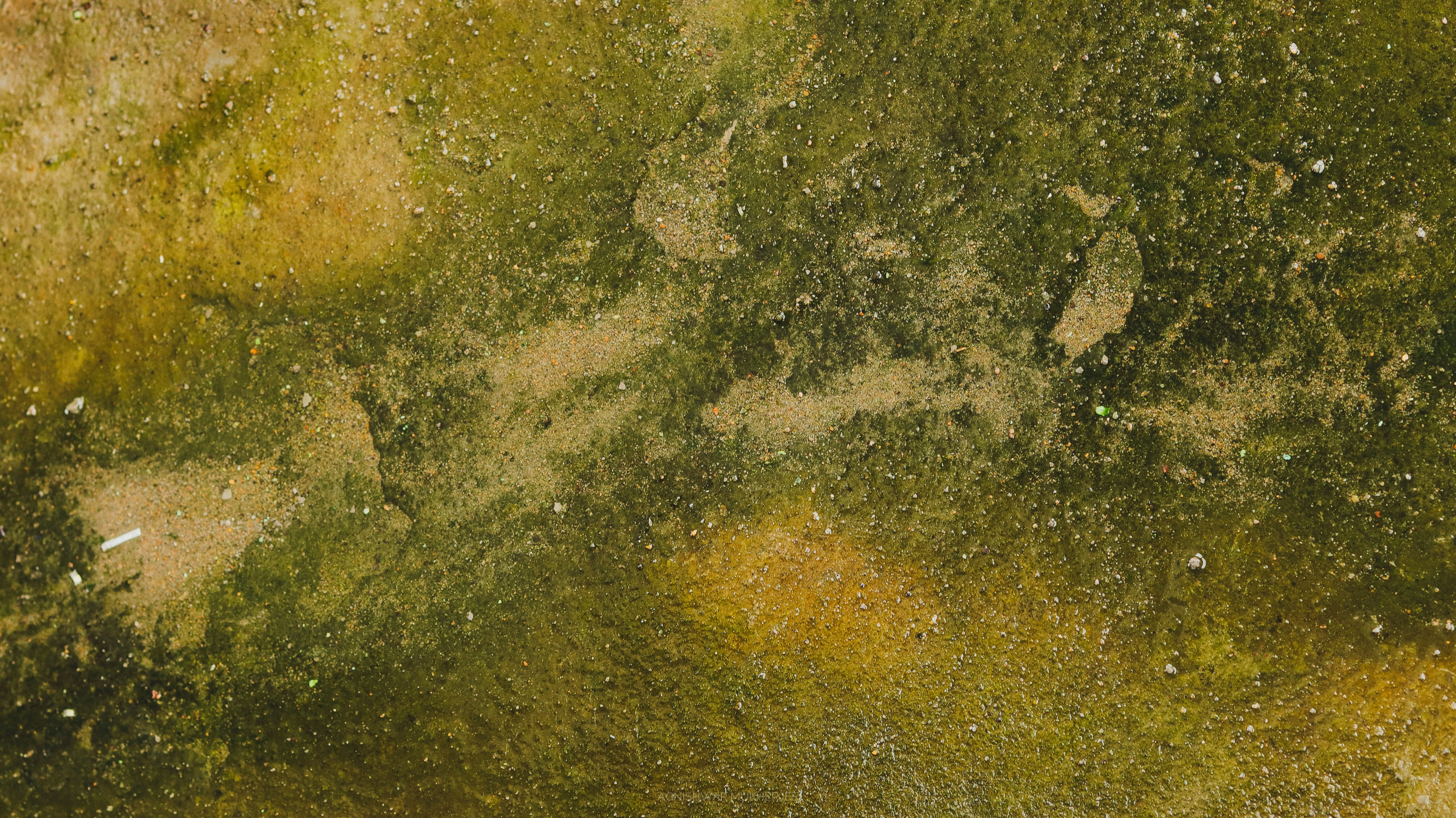 Photo by artofopinion