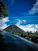 green trees on mountain under blue sky during daytime
