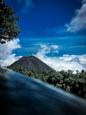 green trees on mountain under blue sky during daytime