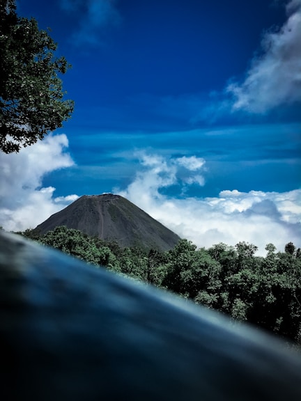 green trees on mountain under blue sky during daytime