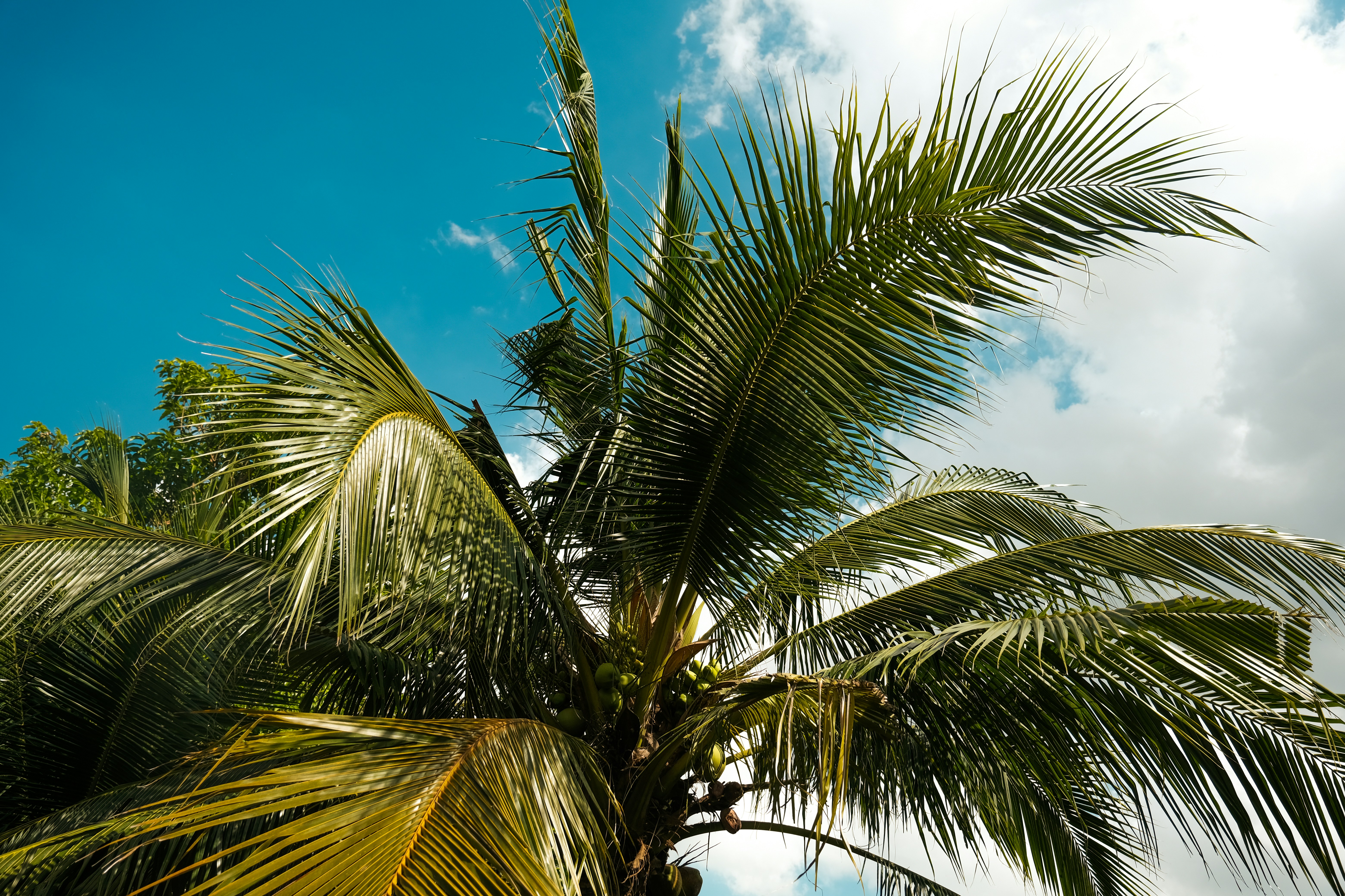 Photo by ryutarouozumi