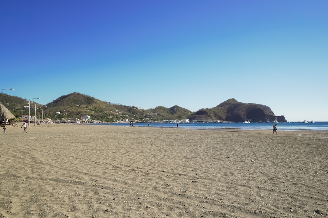 people on beach during daytime