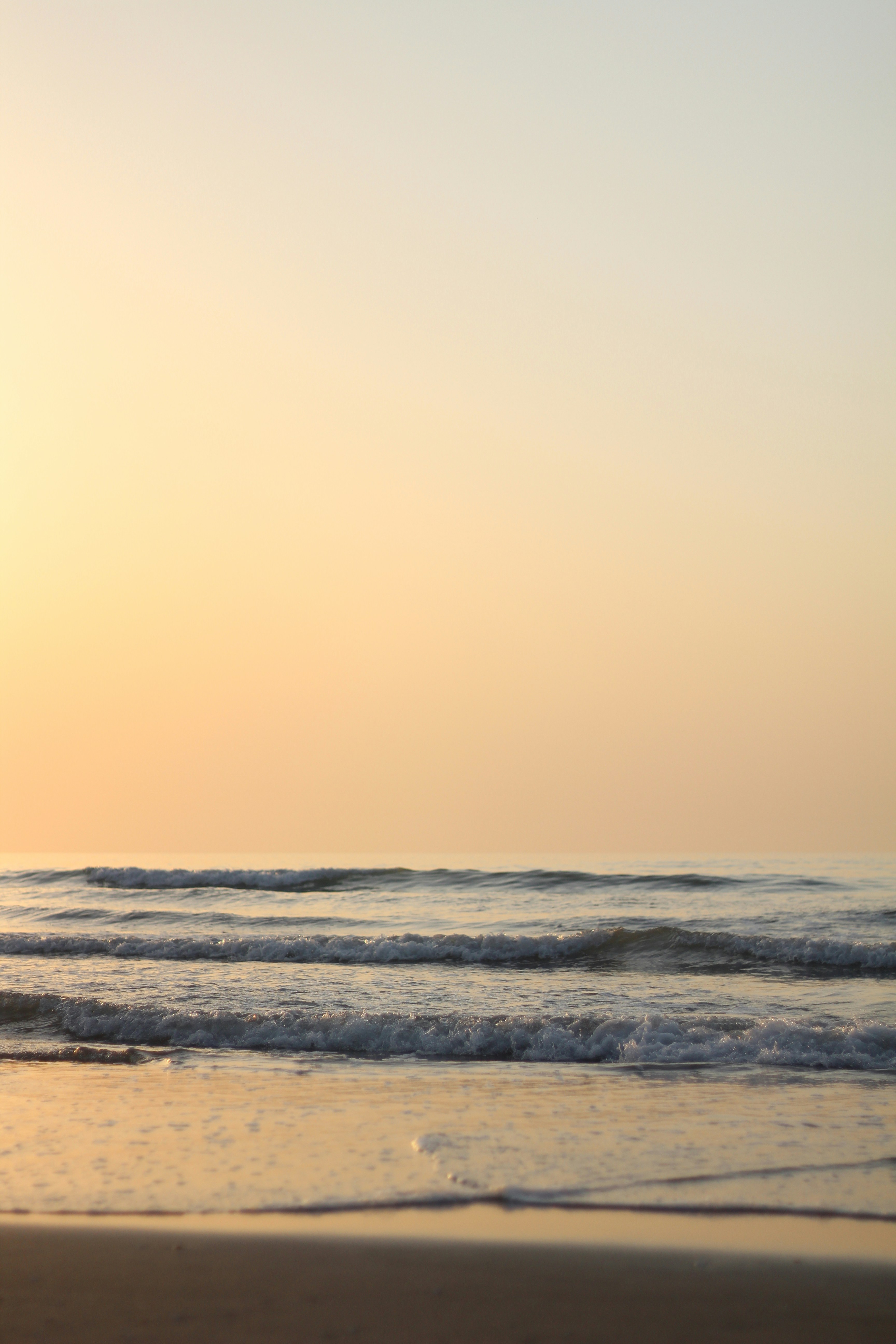 Photo by navidsohrabi