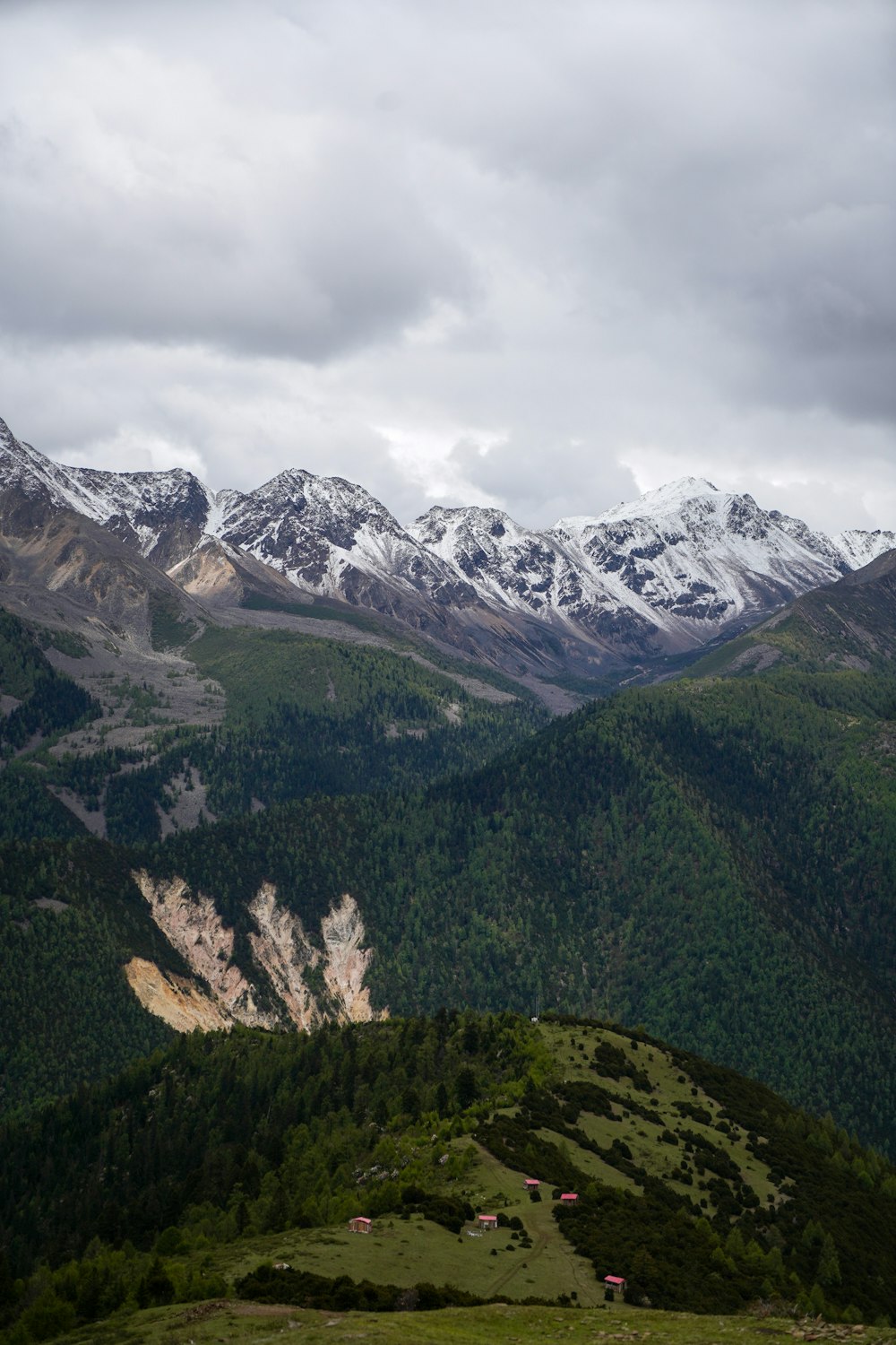 Grüne Bäume auf dem Berg tagsüber unter weißen Wolken