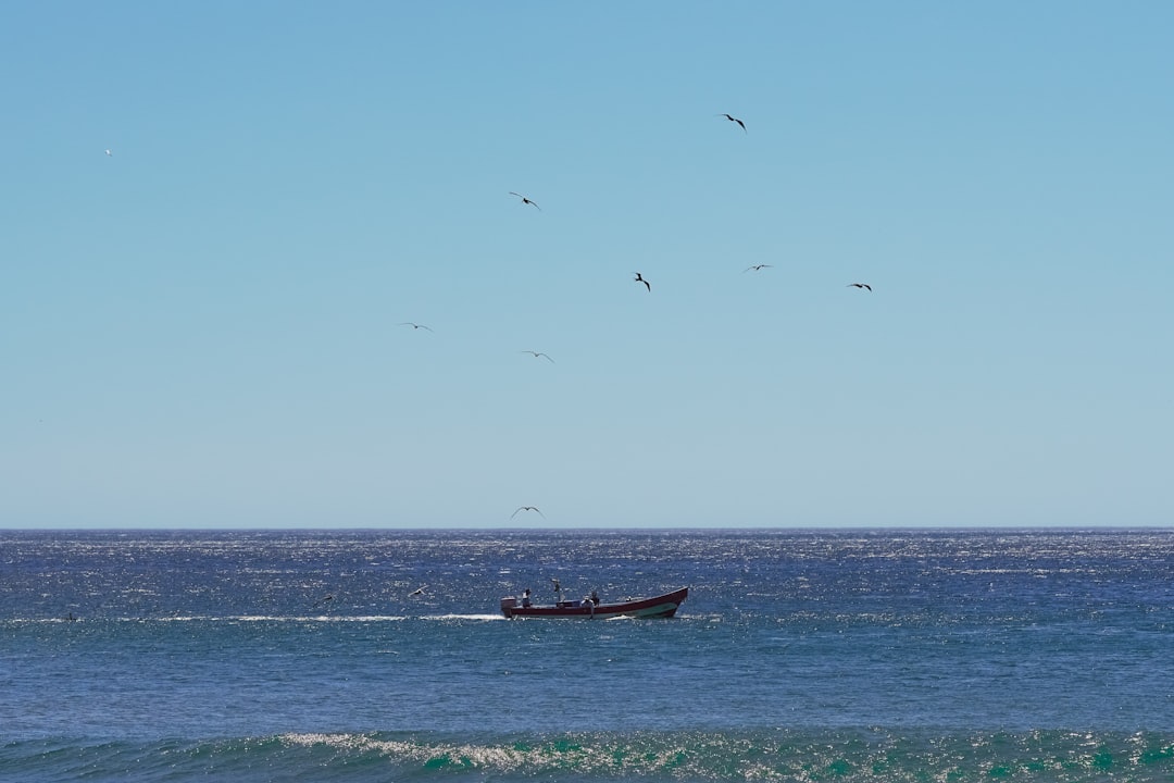 brown boat on sea during daytime