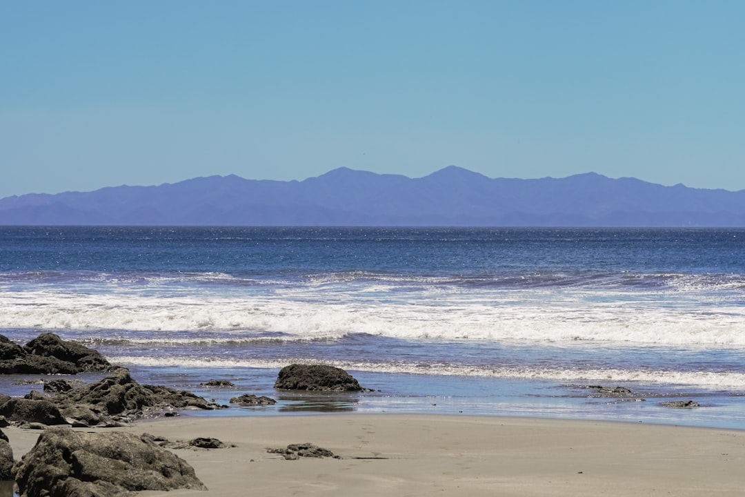 brown rocky shore near body of water during daytime