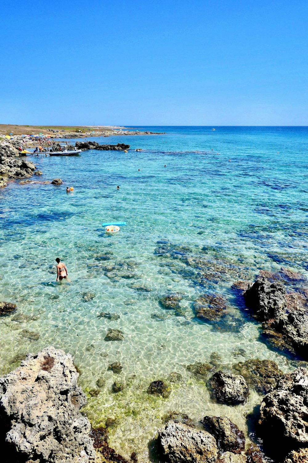 people on beach during daytime