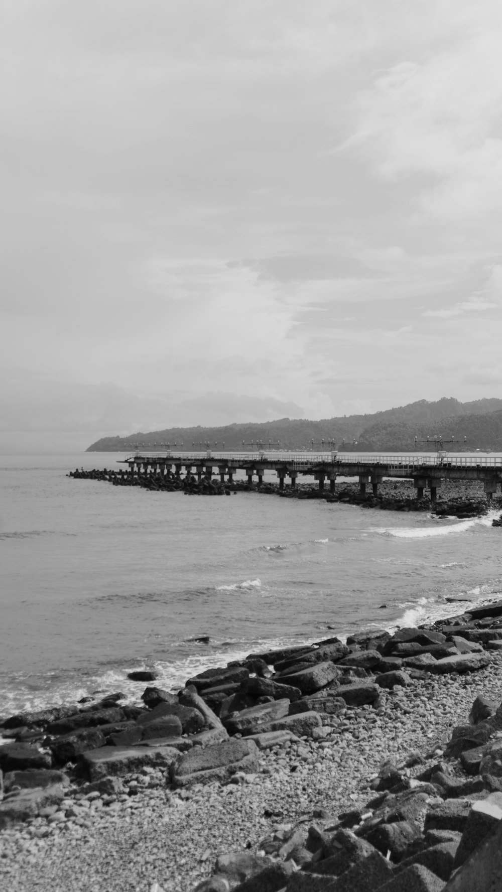 Foto en escala de grises del puente sobre el mar