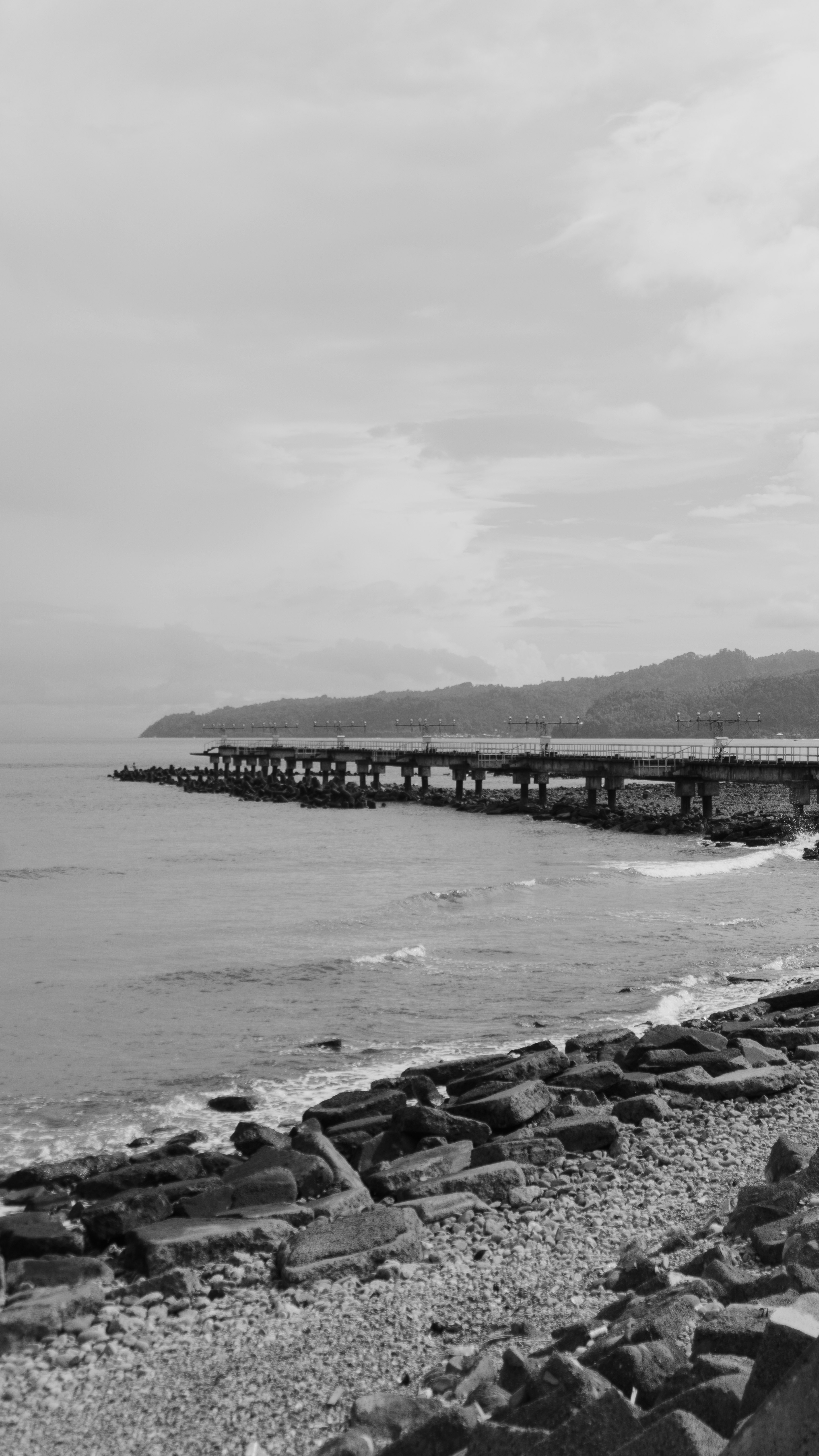 grayscale photo of bridge over the sea