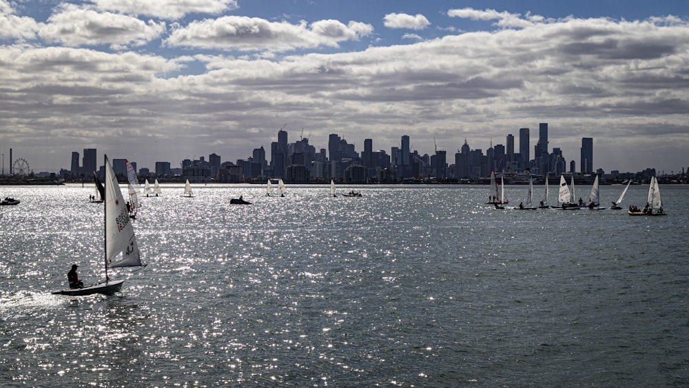 body of water near city buildings during daytime