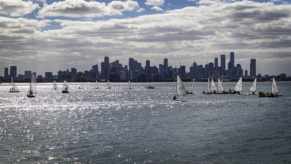 white sail boat on sea during daytime