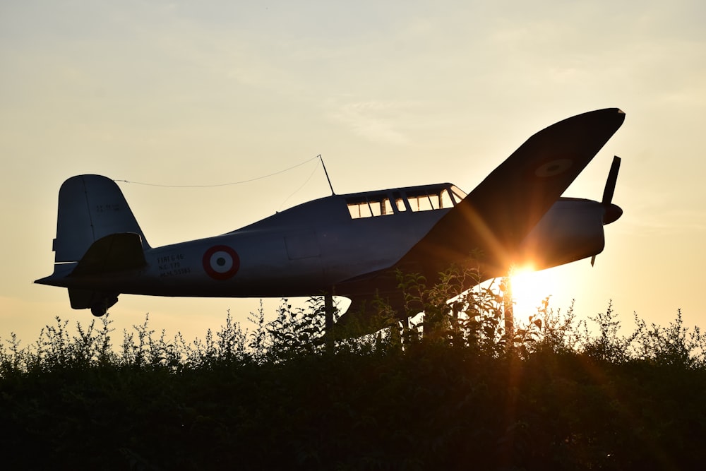 Blau-weißes Düsenflugzeug fliegt bei Sonnenuntergang über grüne Bäume