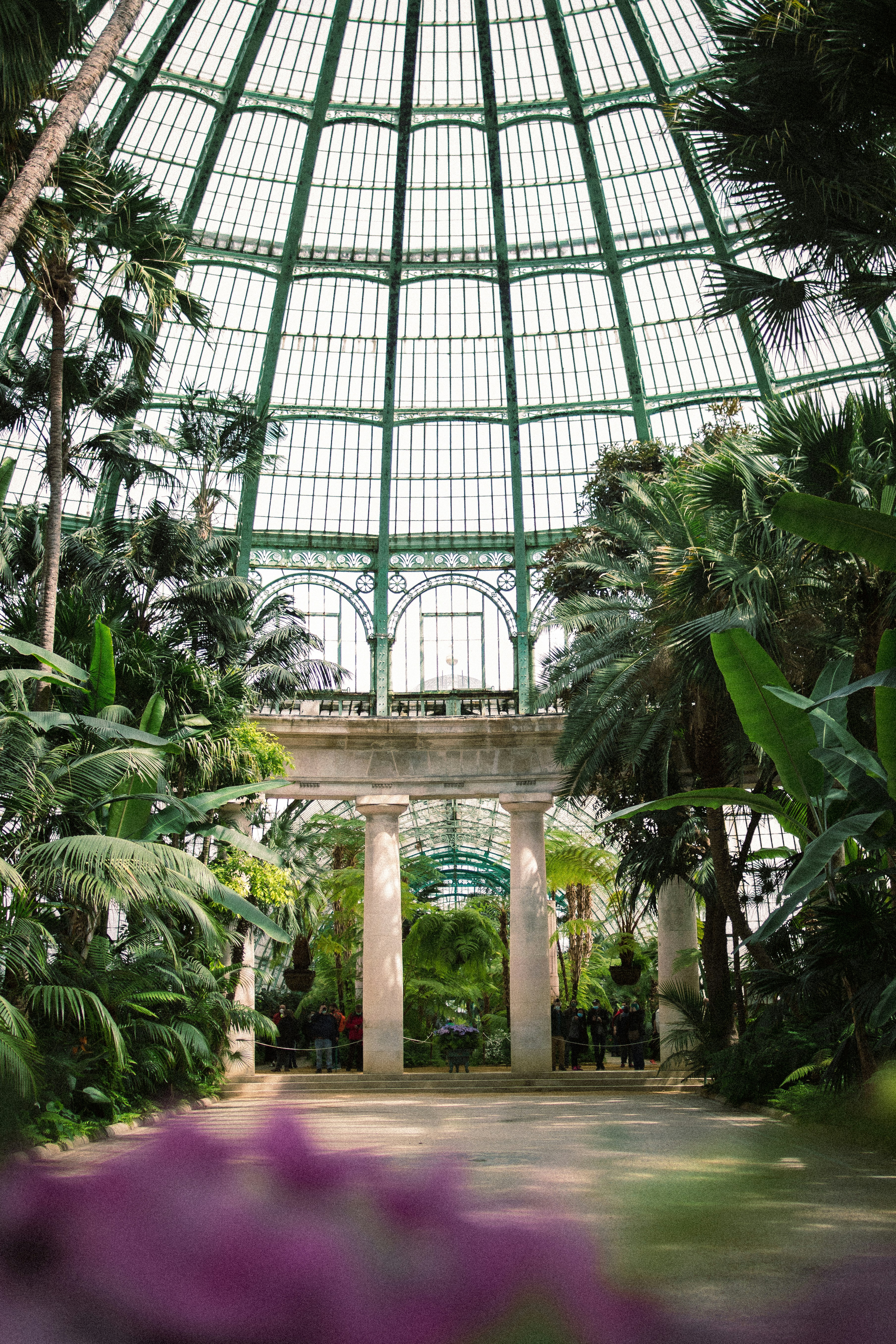 green palm tree inside building
