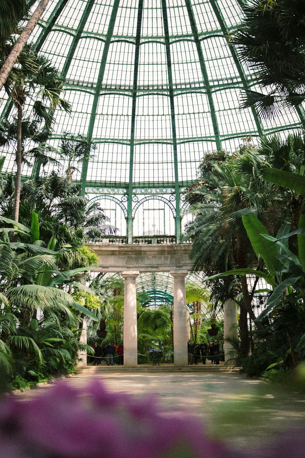 green palm tree inside building