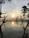 A serene yoga session at sunrise overlooking lush Balinese rice terraces.