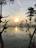 A serene yoga session at sunrise overlooking lush Balinese rice terraces.