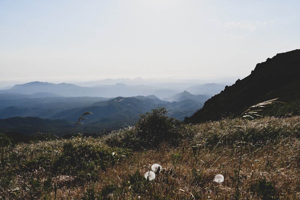 green grass field near mountains during daytime