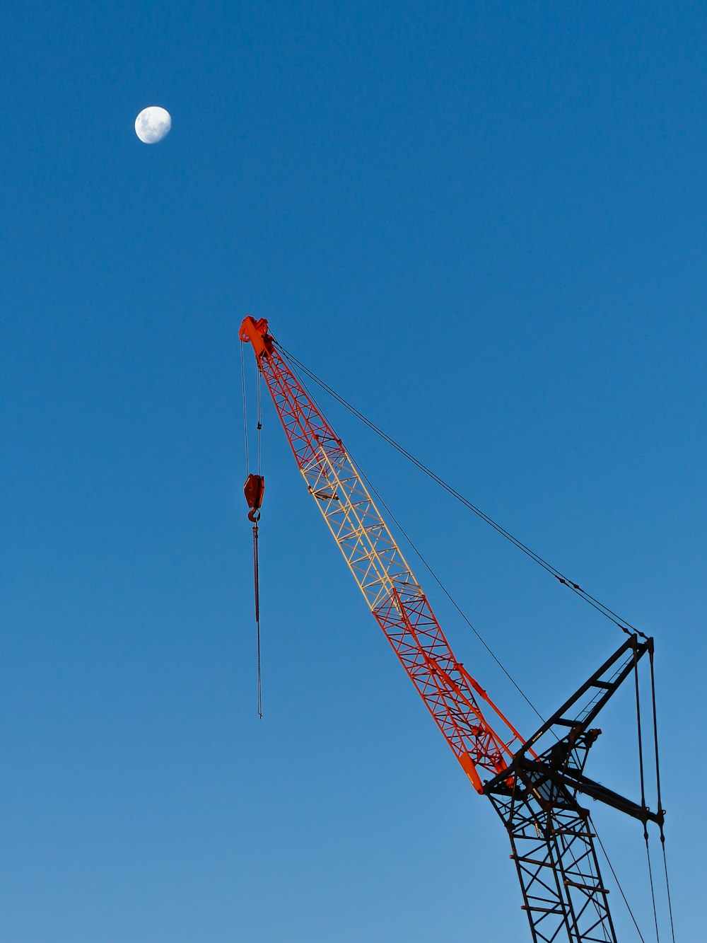 red crane under blue sky during daytime