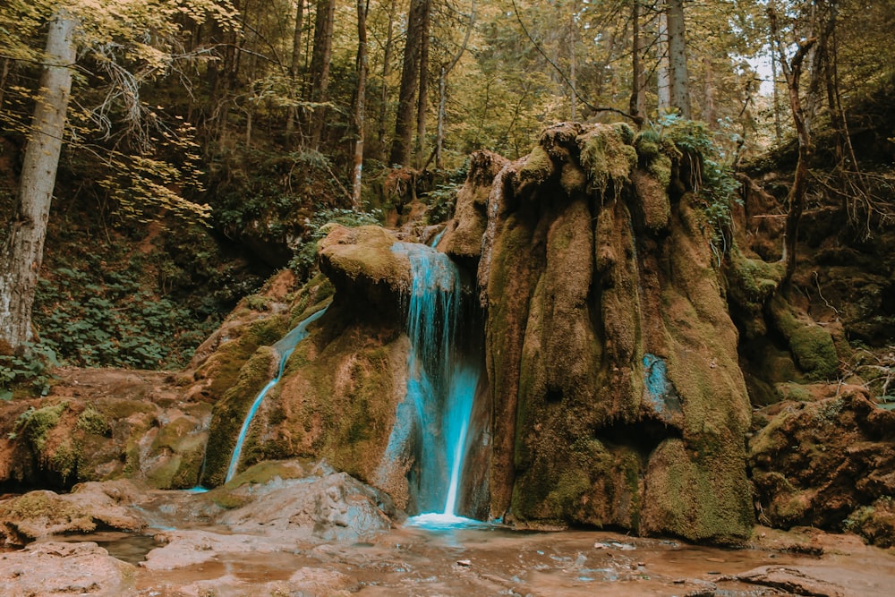 water falls in the middle of the forest