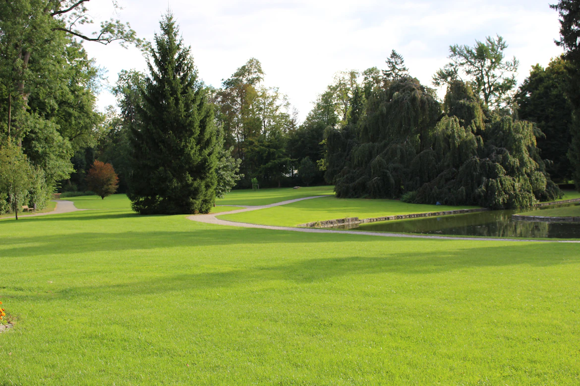 Three Leaf Landscaping Project