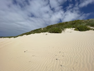 white sand under blue sky during daytime