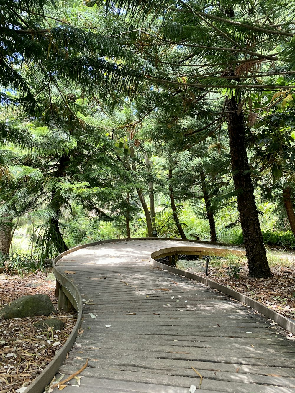 brown wooden bridge in forest during daytime