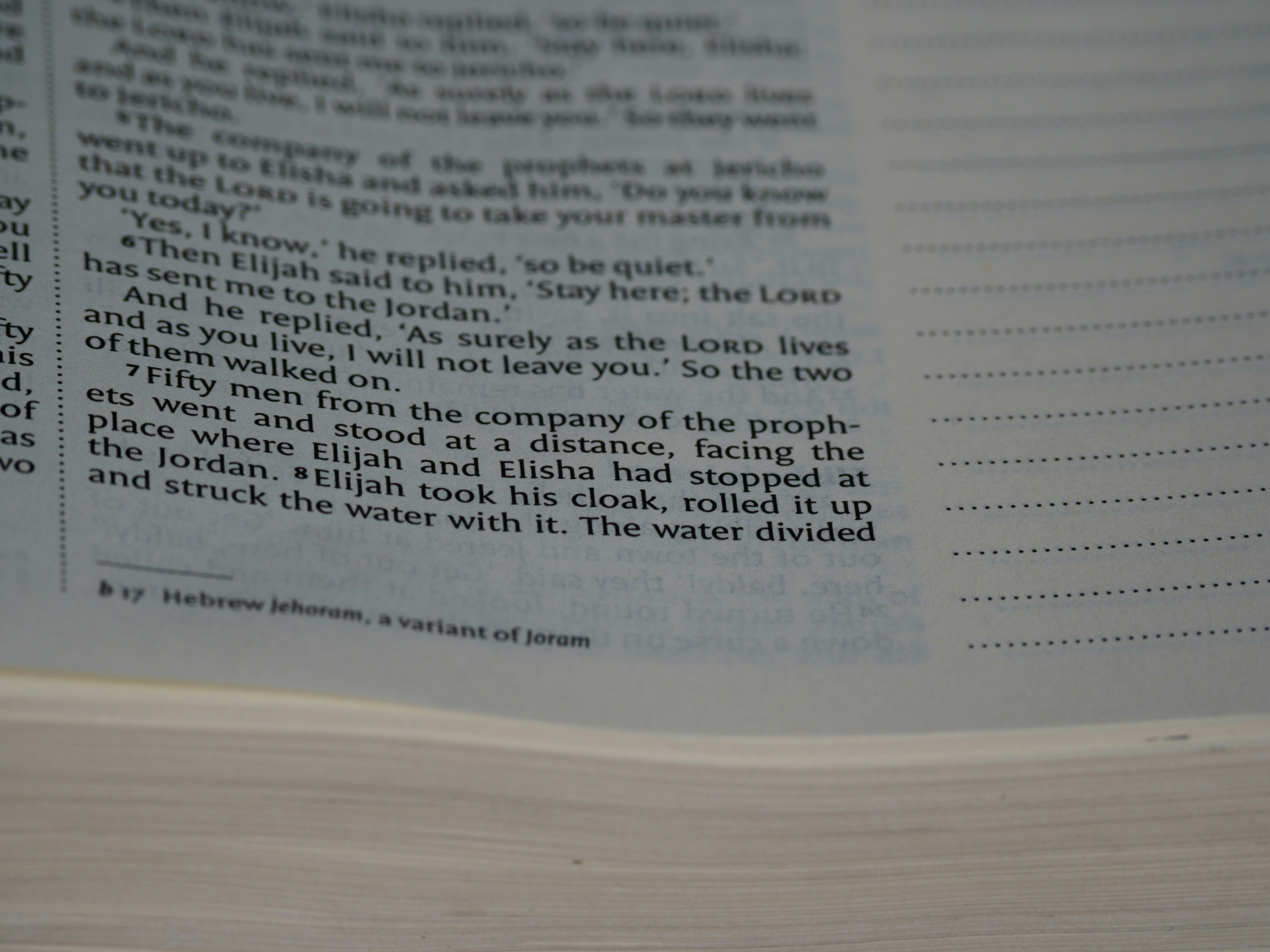 Photo by brett_jordan