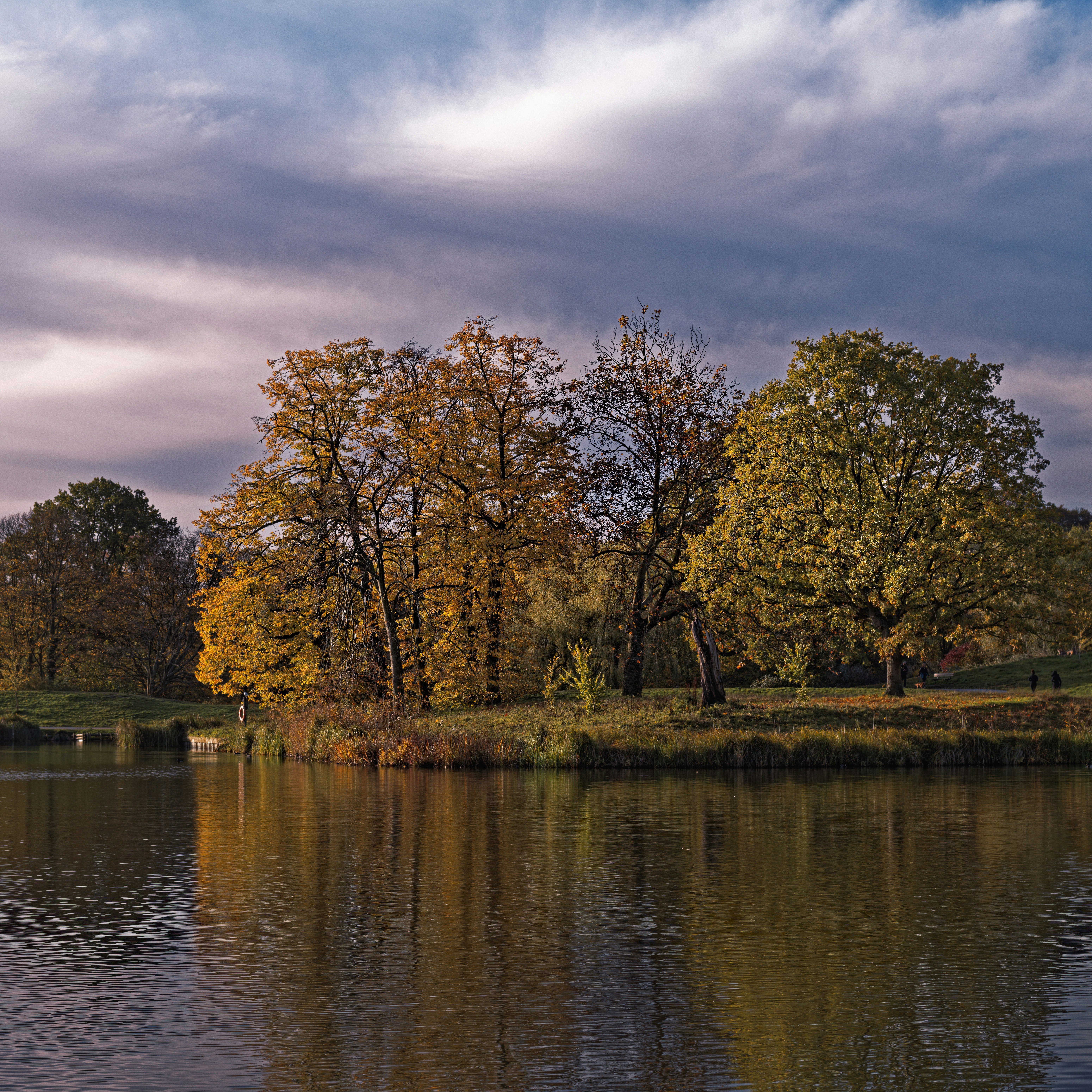 Photo by juliansimpson