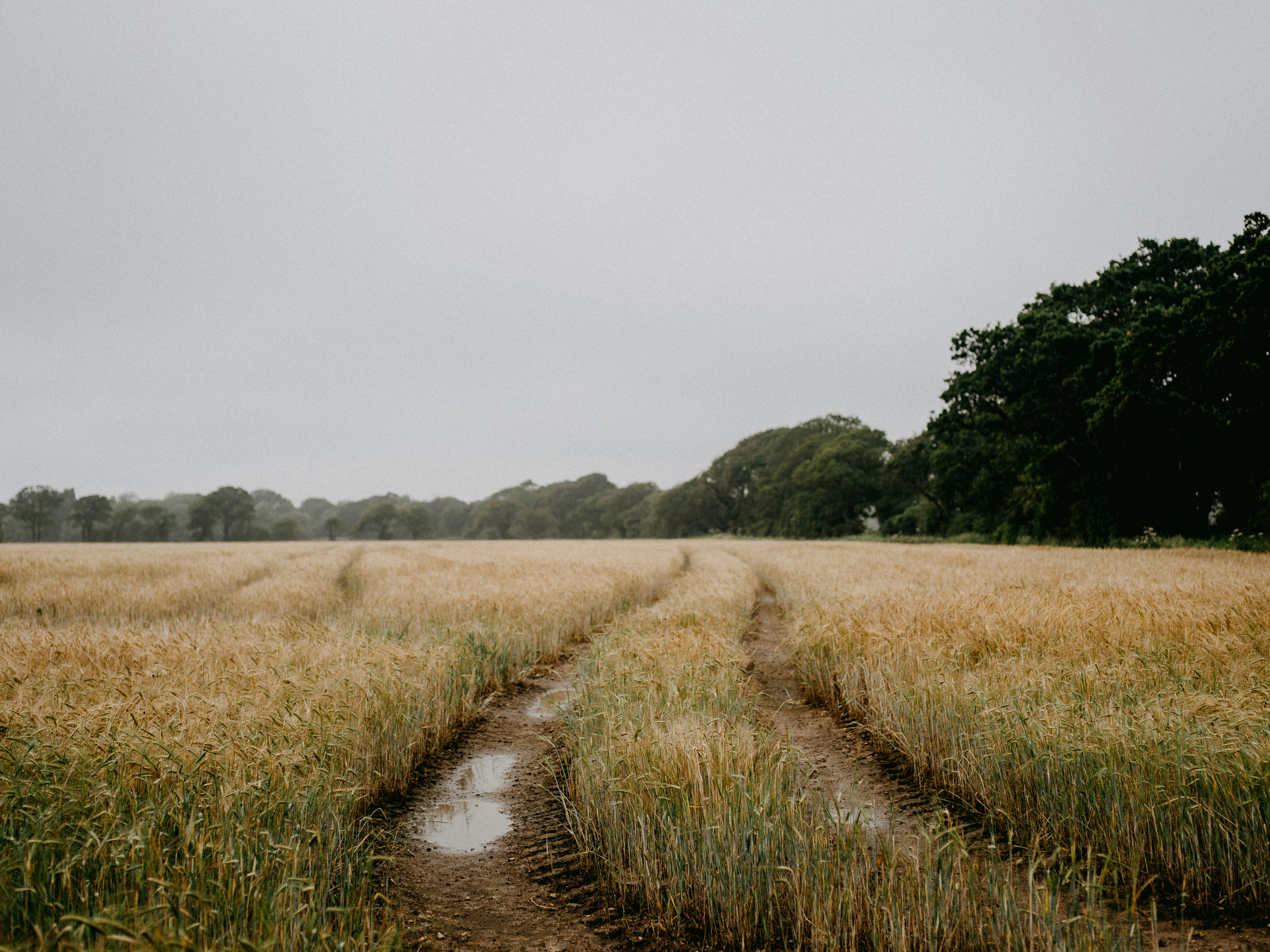 Photo by anniespratt