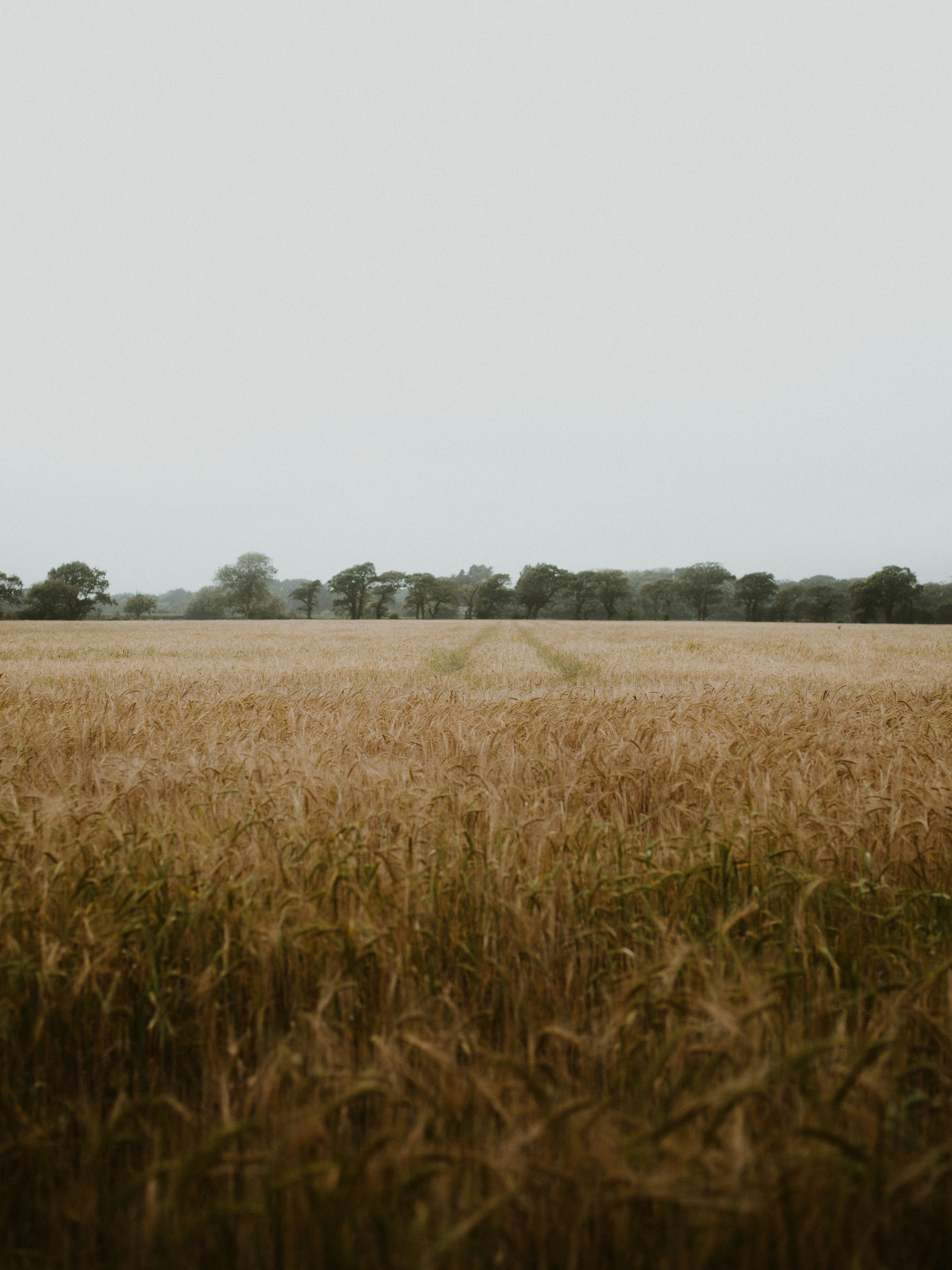 Photo by anniespratt