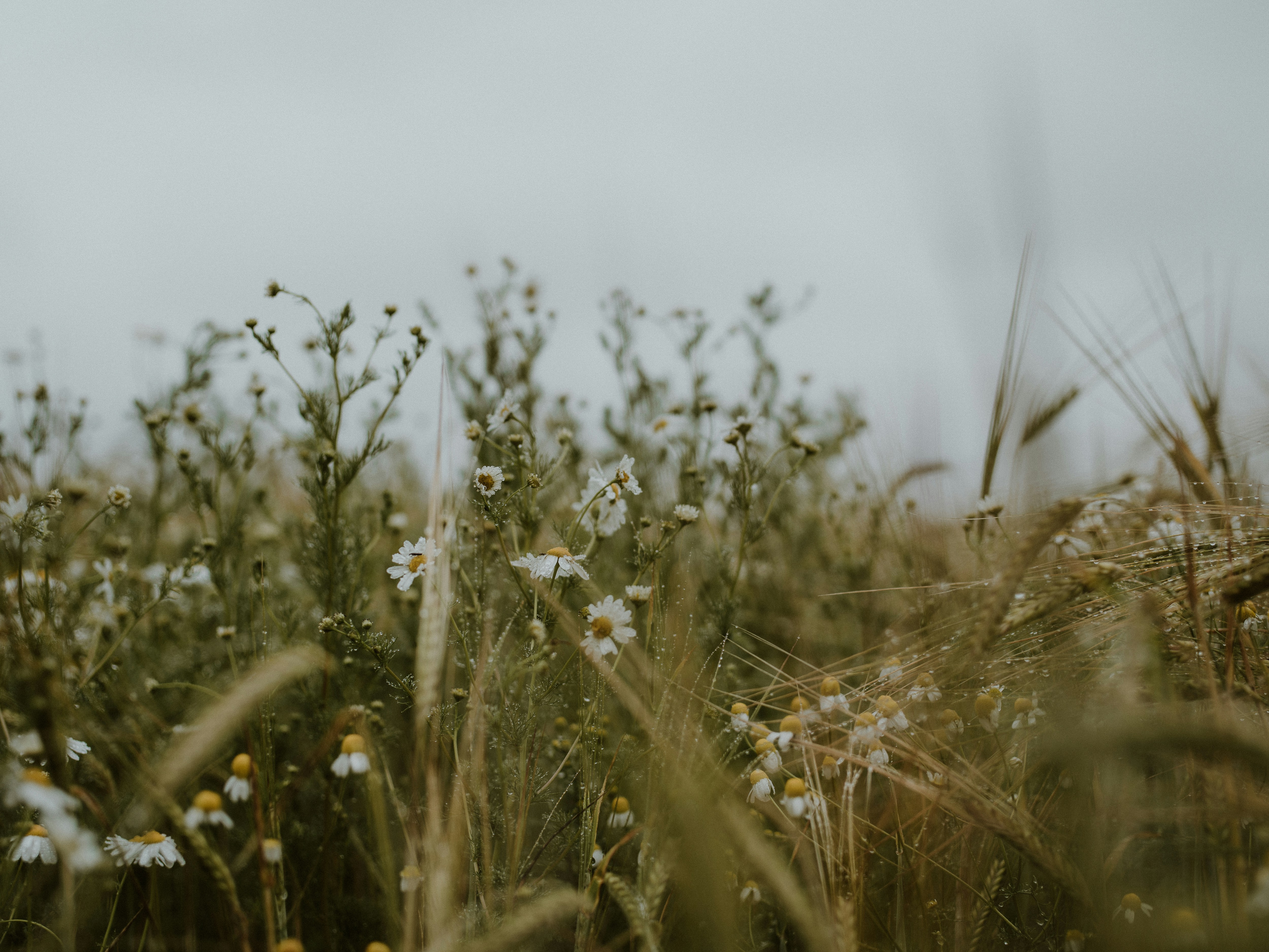 Photo by anniespratt