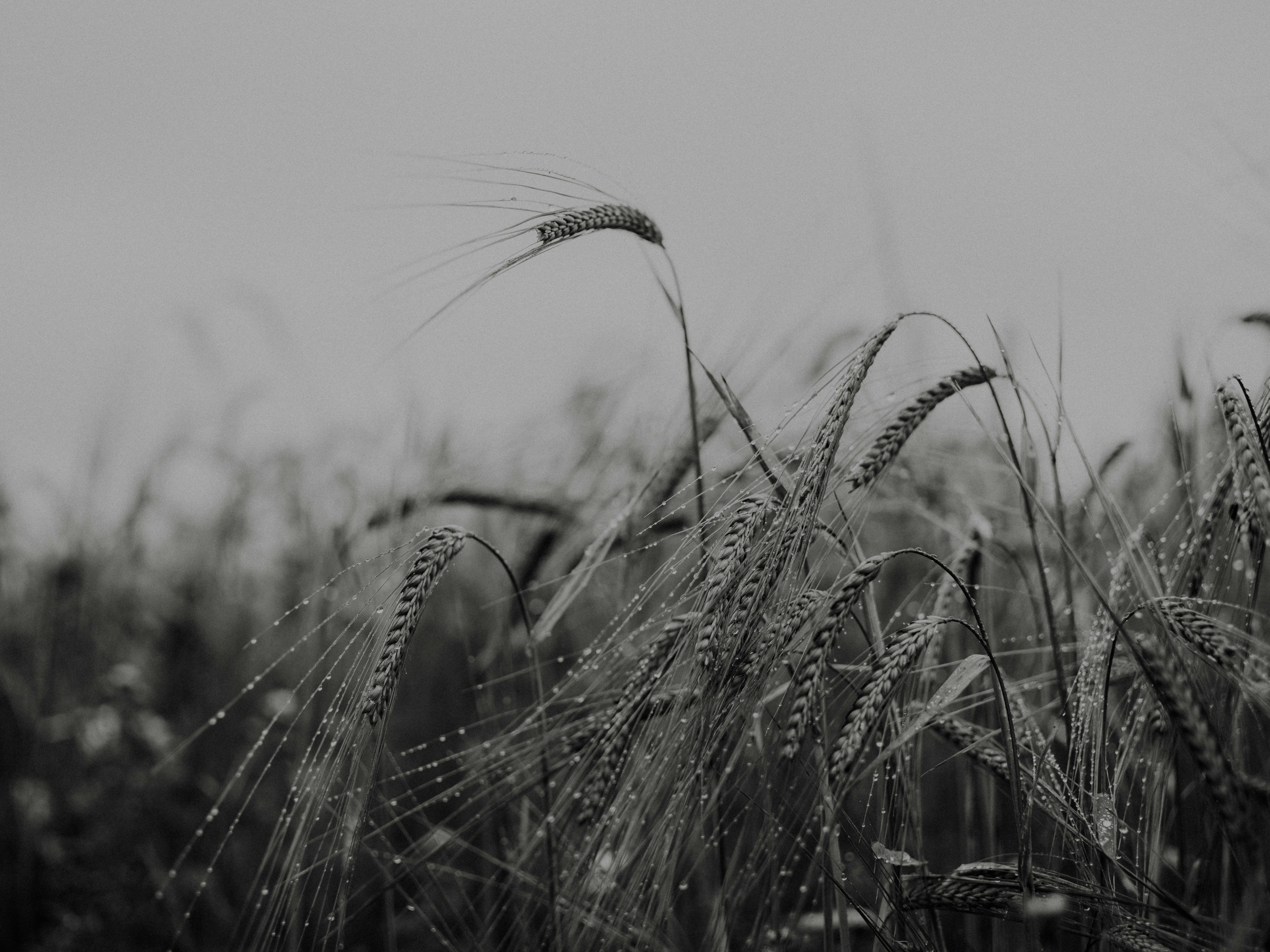 Photo by anniespratt