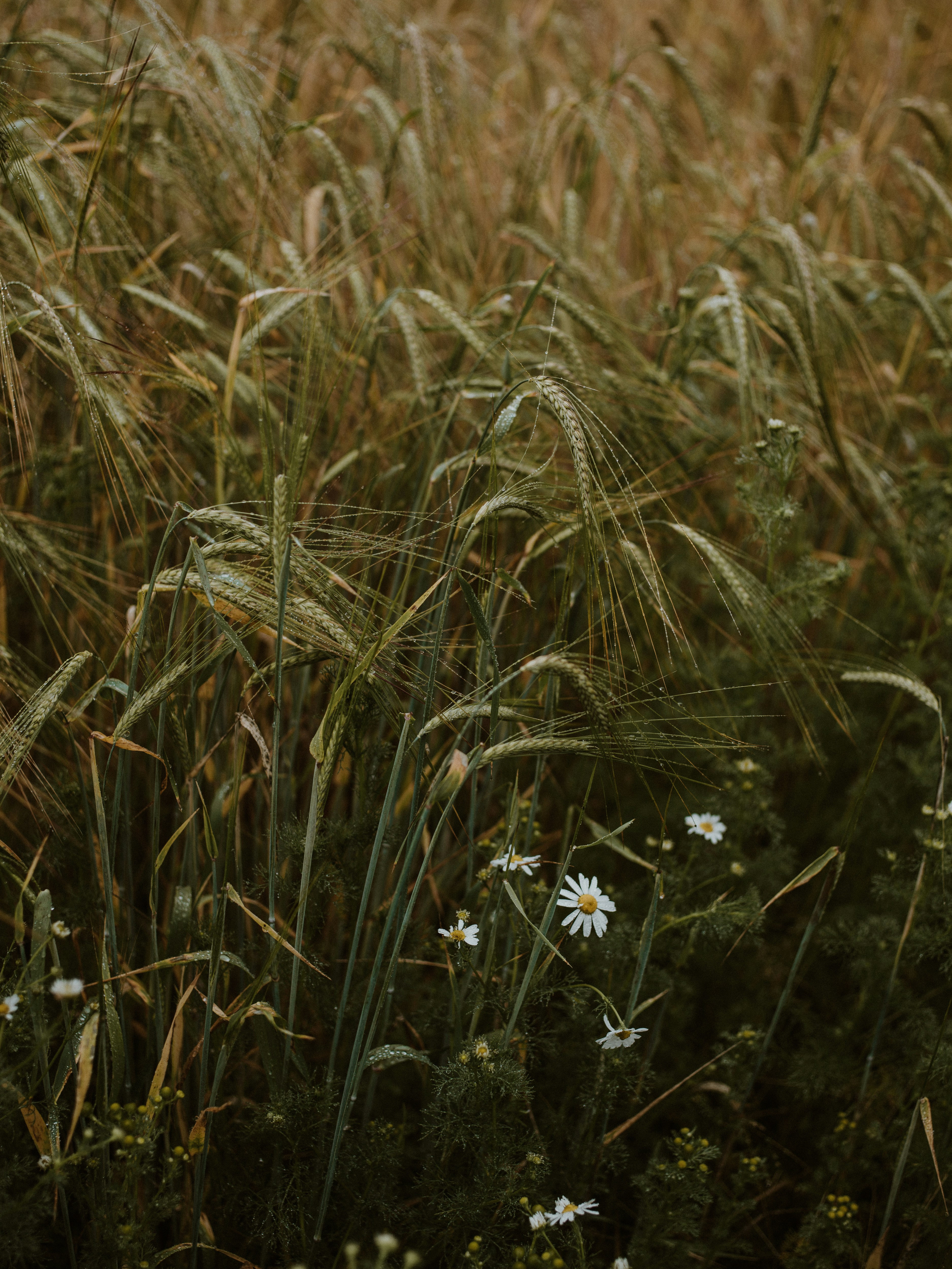 Photo by anniespratt