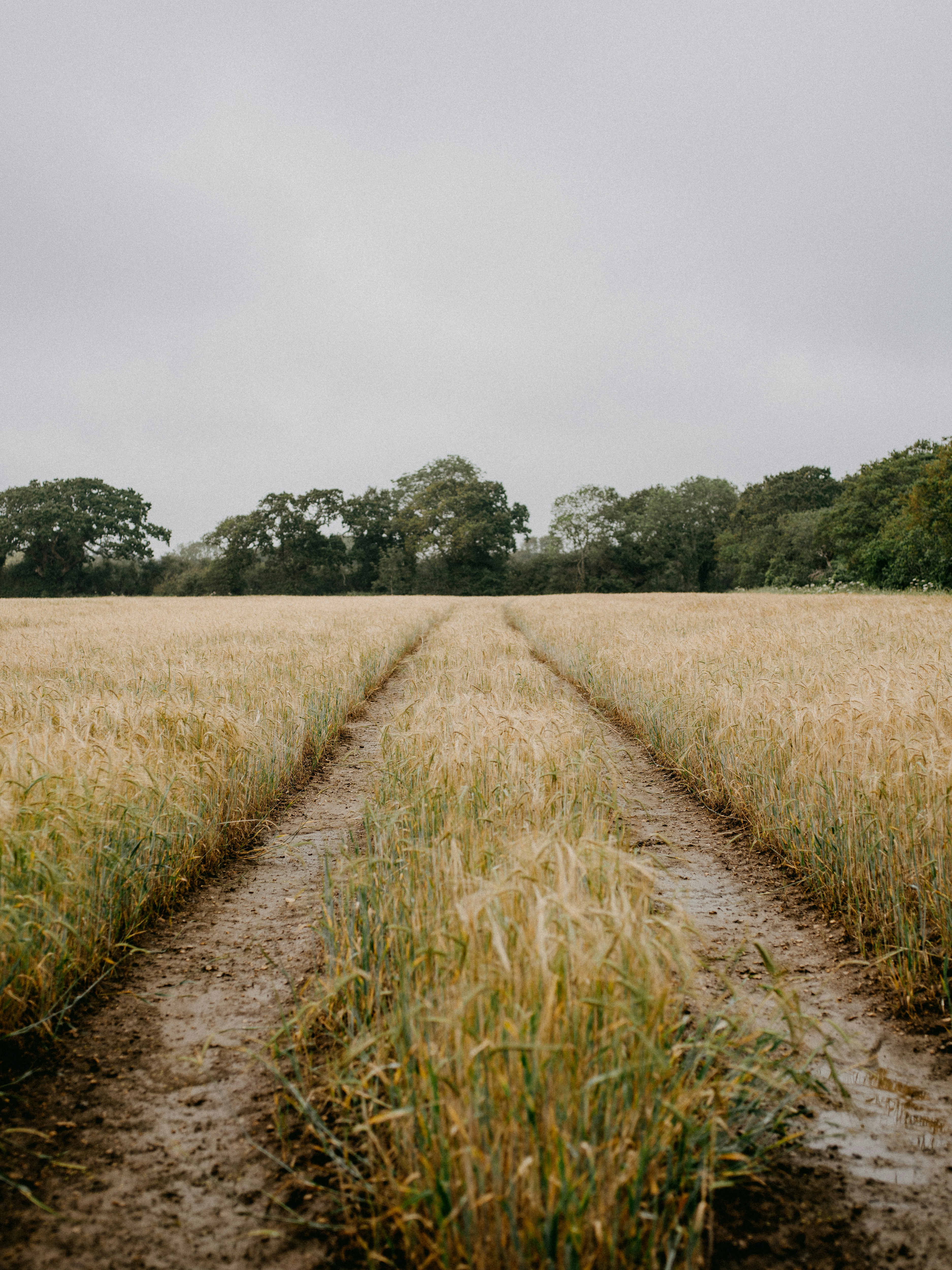 Photo by anniespratt