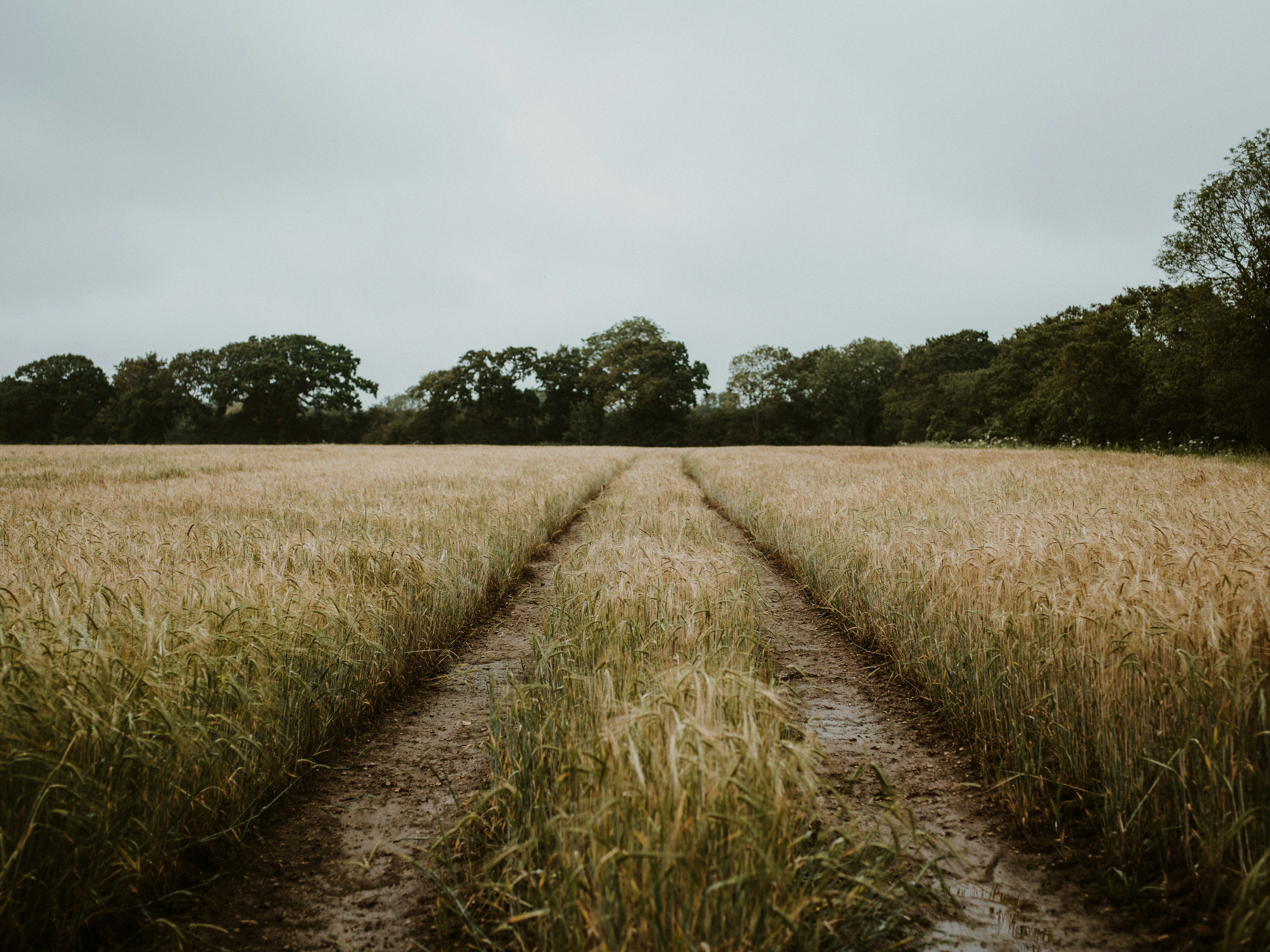 Photo by anniespratt