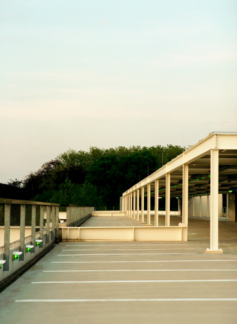 white wooden bridge near green trees during daytime