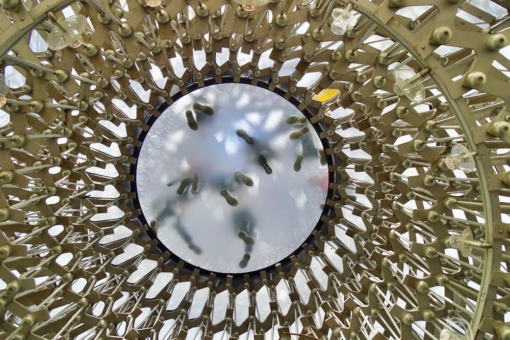 low angle photography of gold and white floral ceiling